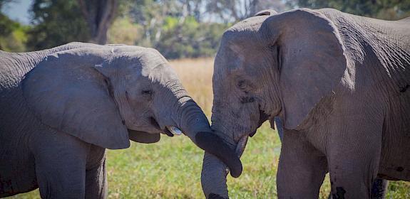 Photograph James Stevens: TRAFFIC
