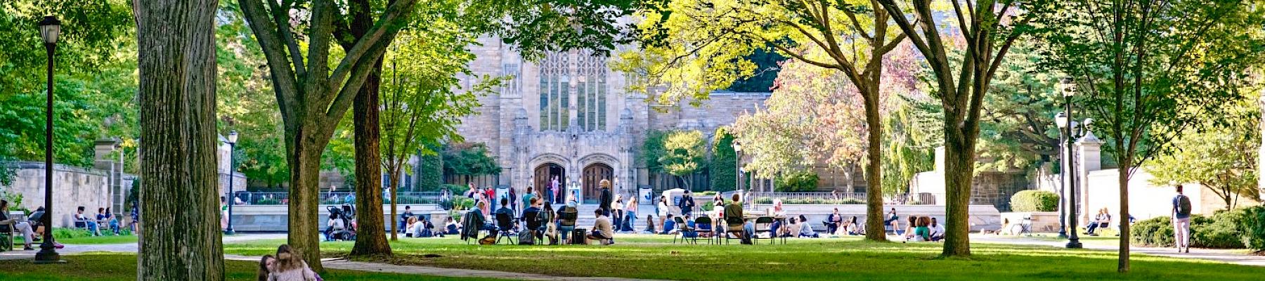 Credit: Anna Zhang, Yale University