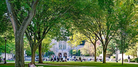 Credit: Anna Zhang, Yale University