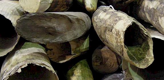 File photo of seized ivory in a government warehouse © TRAFFIC