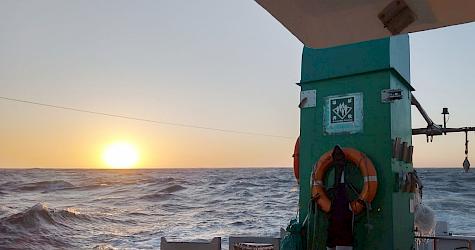 A Balancing Act: Testing SharkTrace at sea as a critical tool for shark trade management