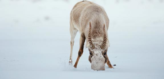 Image by Evgeniy Baranov