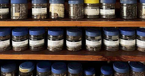 Medicinal and aromatic plant derivatives